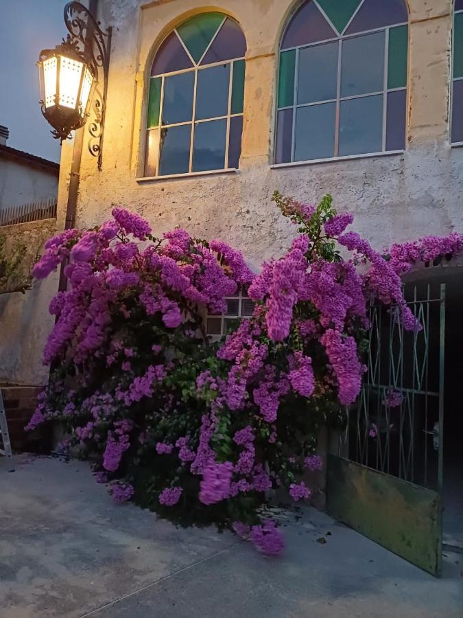 Corte Averaldo San Felice del Benaco Kültér fotó